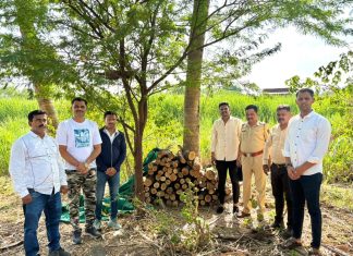 28 लाखांचा चंदनसाठा जप्त पुरंदर तालुक्यातील या गावात एटीएस ची धडक कारवाई….