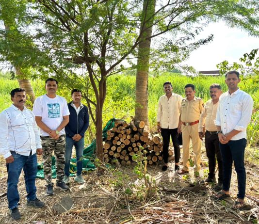 28 लाखांचा चंदनसाठा जप्त पुरंदर तालुक्यातील या गावात एटीएस ची धडक कारवाई….